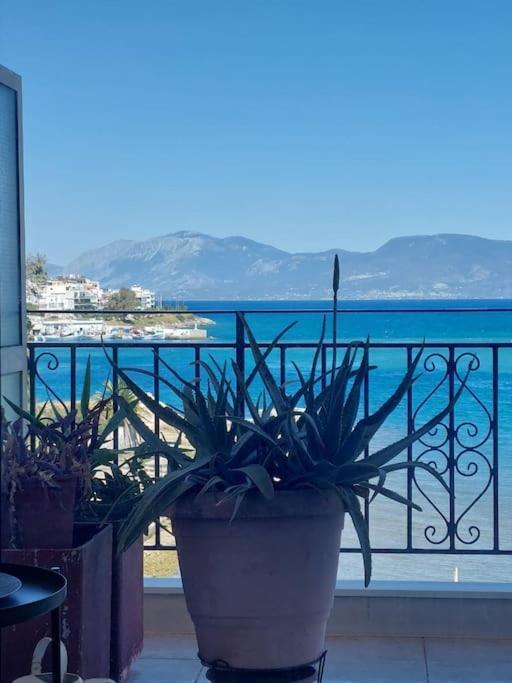 Bright Central Apartment With Splendid Sea View! Chalkís Exteriör bild